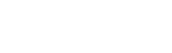 New City College